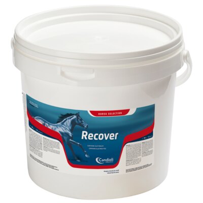 Candioli Recover - elettroliti e sali minerali 3 kg