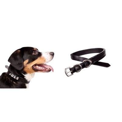 Hkm Sports Collare per cane con porta nome