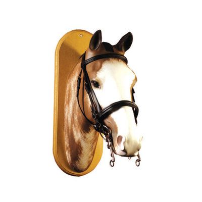 Umbria Equitazione Briglia inglese chetak in cuoio superiore da dressage disponibile nel colore nero