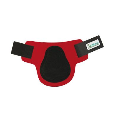 Umbria Equitazione Paranocche in neoprene con rinforzo in pelle e chiusura in velcro