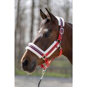 Hkm Sports Capezza Equine Sports