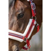 Hkm Sports Capezza Equine Sports