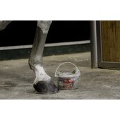 Kevin Bacon's Manicouagan clay prodotto naturale astringente che decongestiona, rilassa, tonifi ca e rassoda i tessuti.