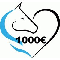 Buono regalo 1000 euro