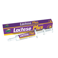 Lactese Plus - Converte l'acido lattico in energia
