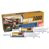 Energy 1000 A&B - Energia pre gara