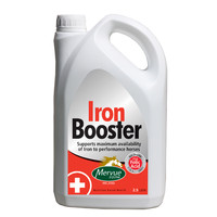 Iron Booster - favorisce il mantenimento nella norma dei parametri ematici