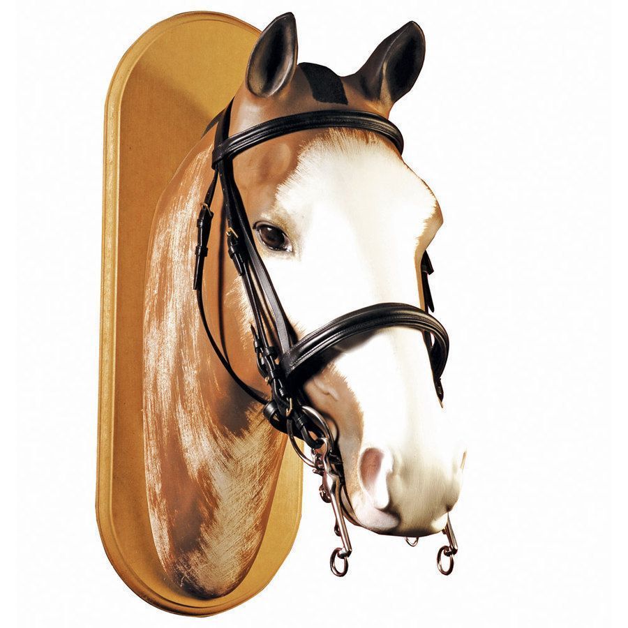 Briglia da presentazione per cavallo arabo con ornamenti metallici -  Negozio di cavalli - Equitazione